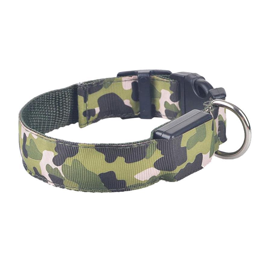 Collier Lumineux Camouflage pour Chien – L’Aventure en Toute Sécurité