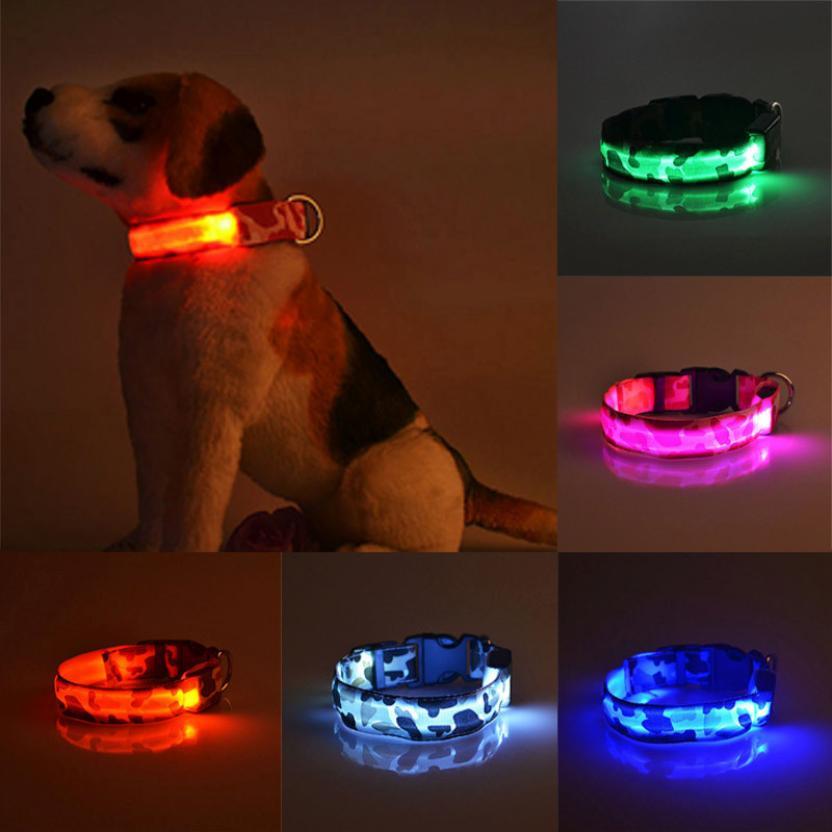 Collier Lumineux Camouflage pour Chien – L’Aventure en Toute Sécurité