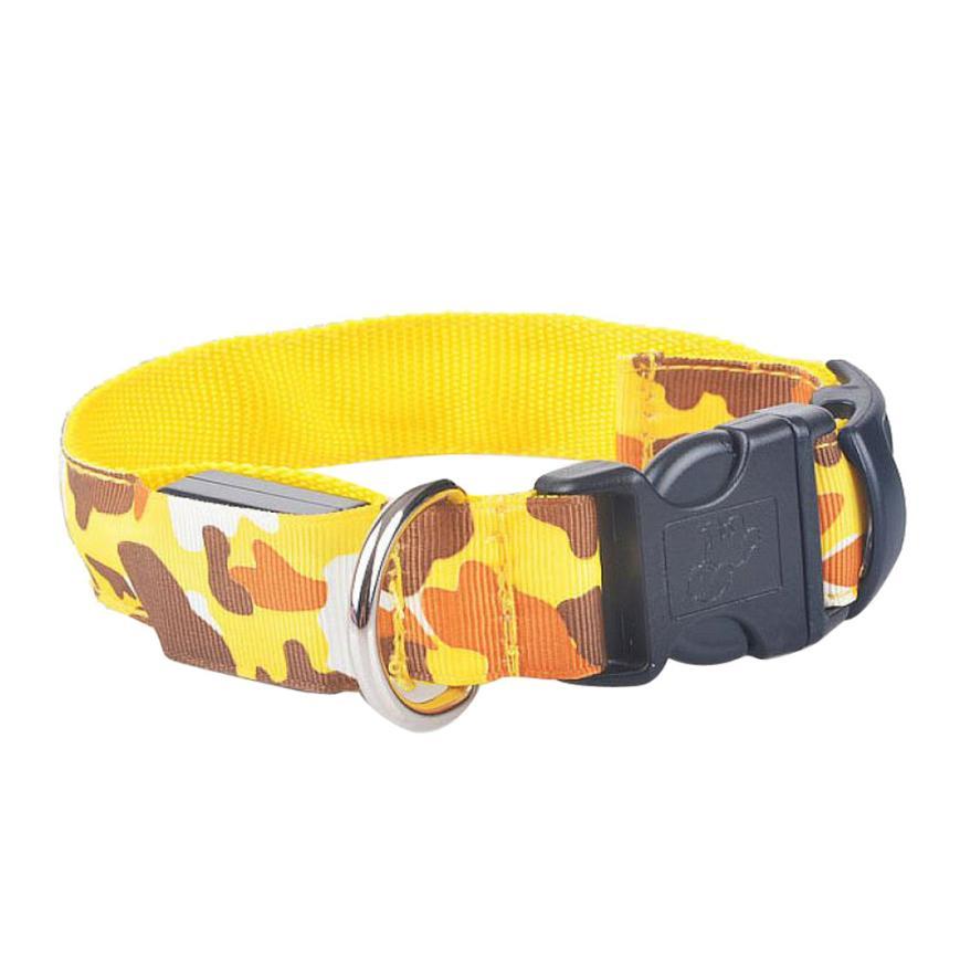 Collier Lumineux Camouflage pour Chien – L’Aventure en Toute Sécurité