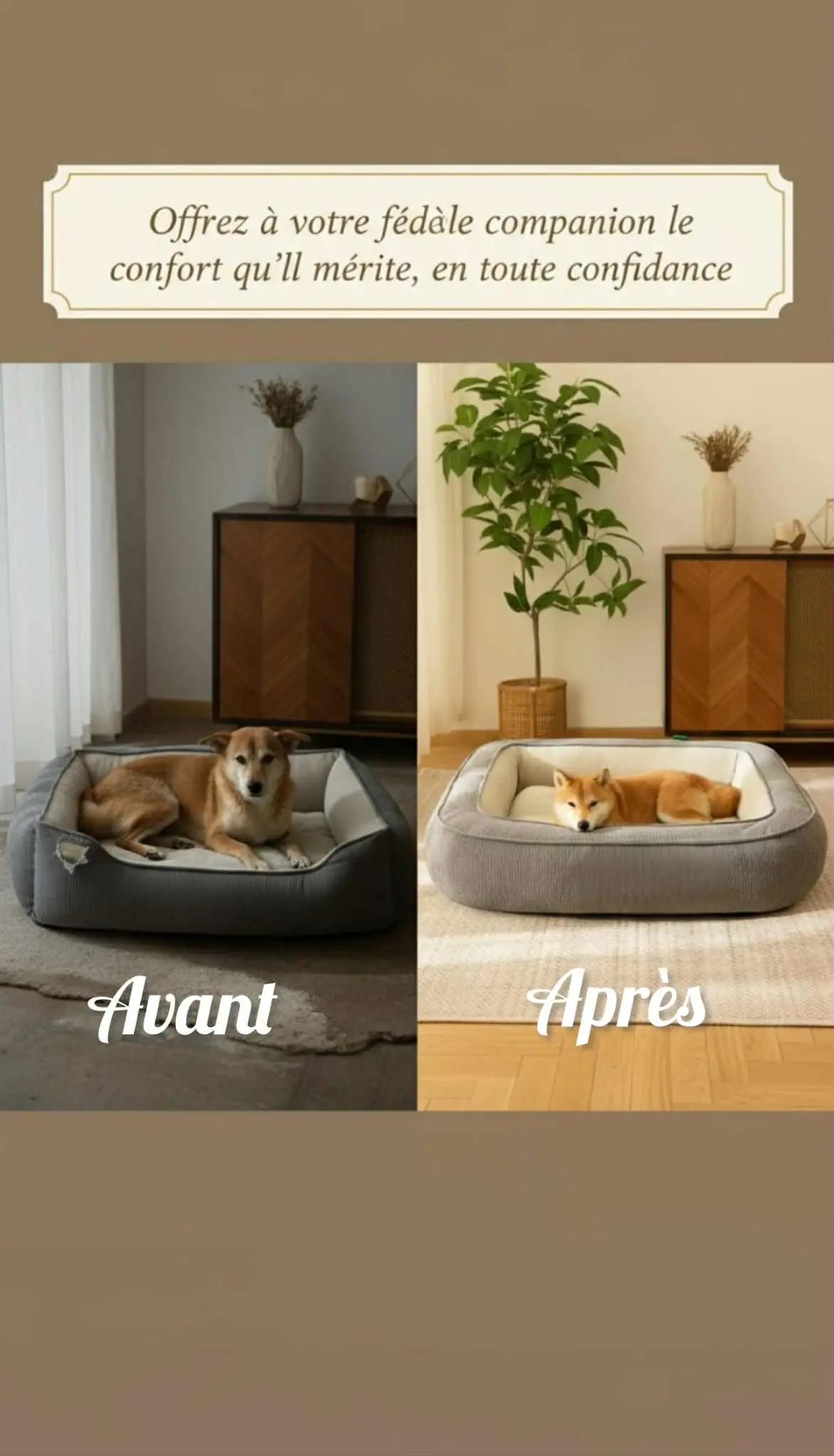 Lit Chauffant Orthopédique pour Chien – Un Cocon de Chaleur et de Bien-Être 🐾